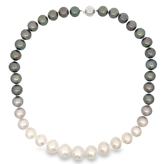 14K White Gold Tahitian and White South Sea Pearl Ombre Necklace