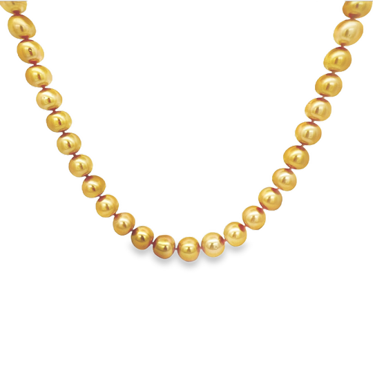 Jewelmer 18K Yellow Gold South Sea Pearl Necklace - 1665