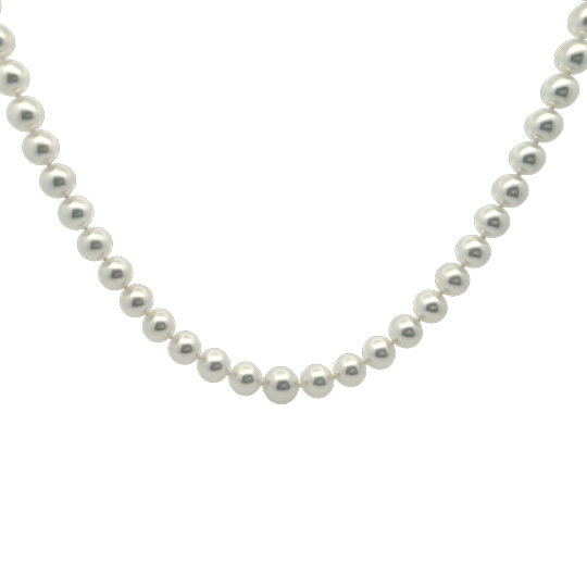 18K White Gold South Sea Pearl Strand - 6002
