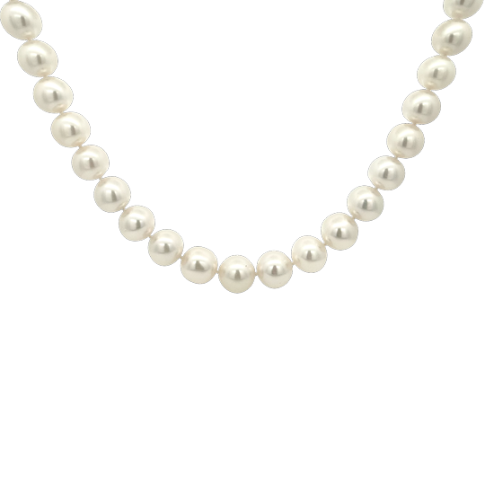 18K White Gold South Sea Cultured Pearl Strand with a Hidden Clasp - 6004